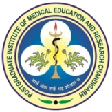 IAV Logo