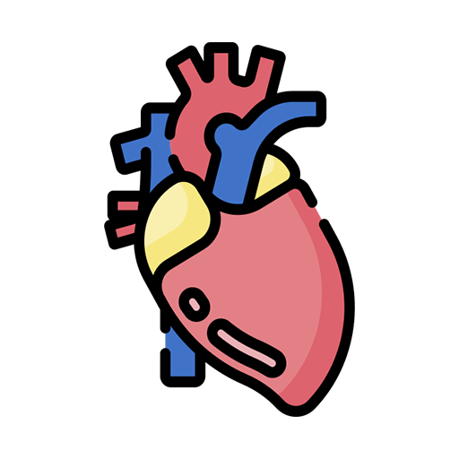 Cardiology